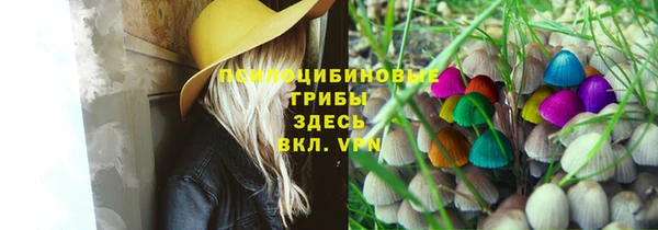 спиды Алзамай