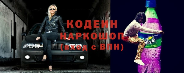 гашик Алексин