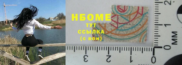 гашик Алексин