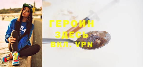 гашик Алексин