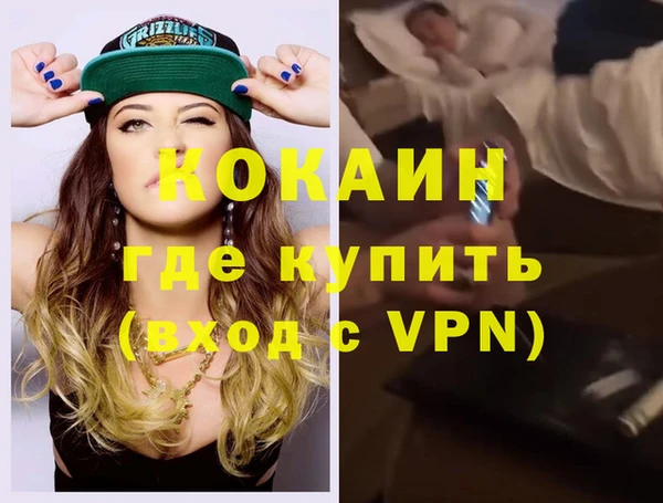 гашик Алексин